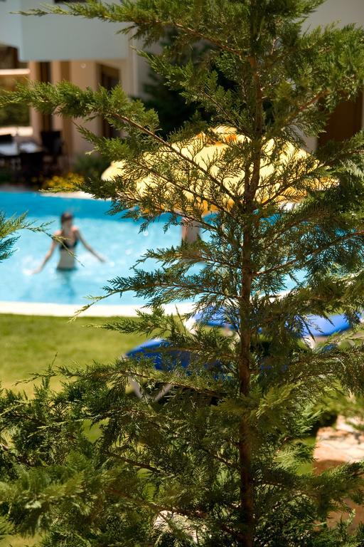 Blue Dream Luxury Villas Pefki Exteriör bild
